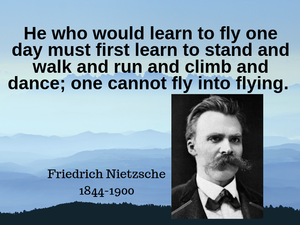 He who would learn to fly one day must first